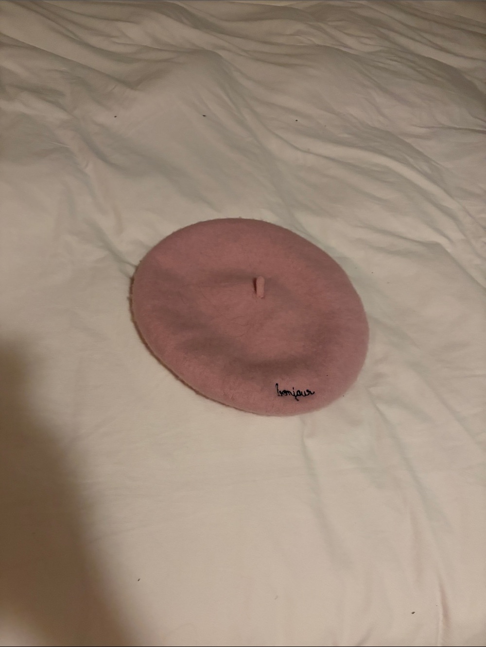 Bonjour Pink Wool Beret - Women Accessories